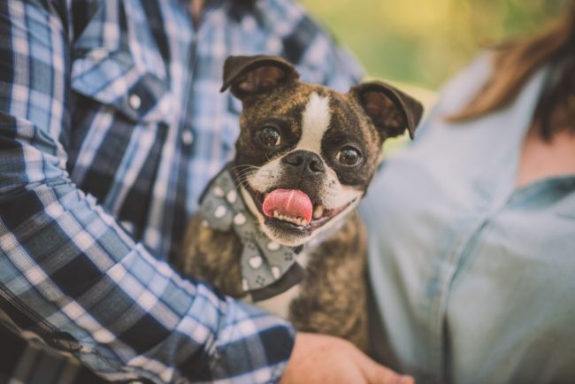 Guelph Arboretum Engagement