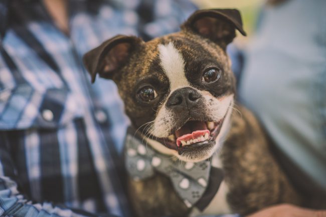 Guelph Arboretum Engagement