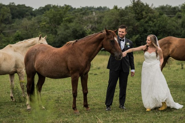 Wedding photography with horses