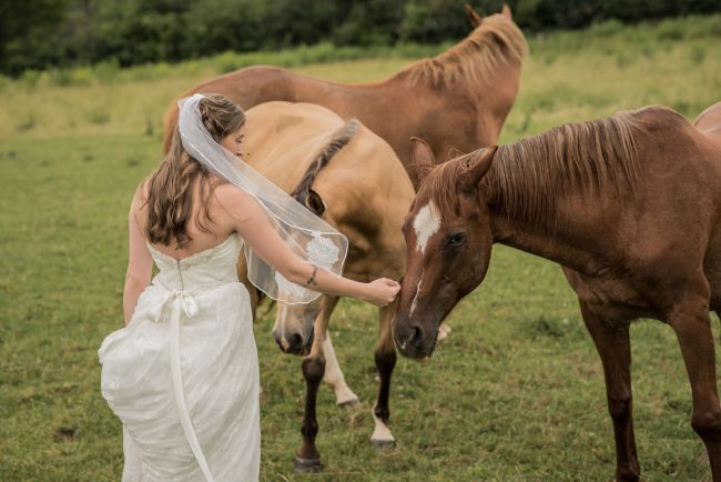 Wedding photography with horses