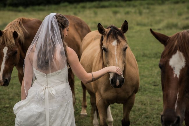 Wedding photography with horses