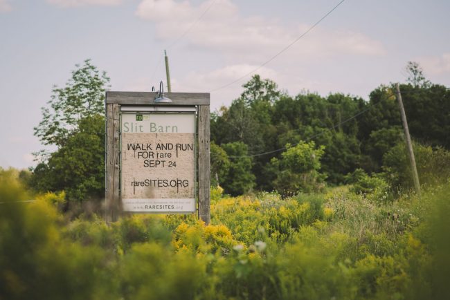 Slit Barn Cambridge Wedding Photographer