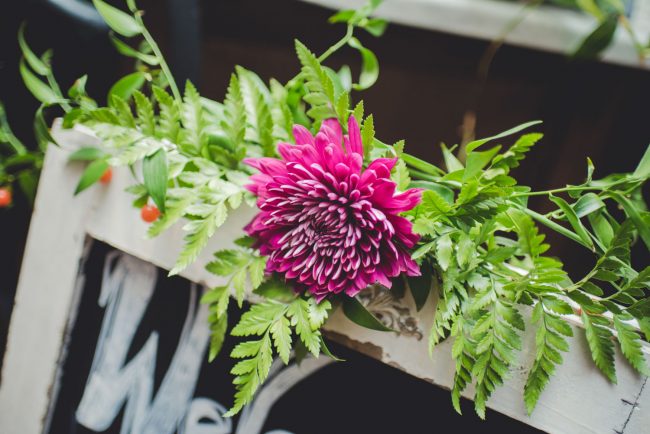 The Berlin Kitchener Wedding