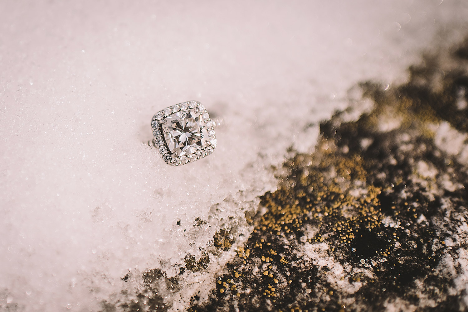 Toronto Wedding Photographer