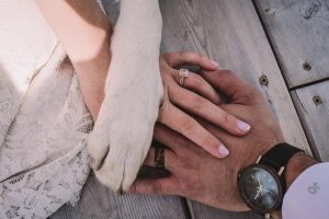 Huntsville Wedding Photographer