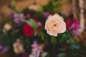 Algonquin Arowhon Camp Wedding
