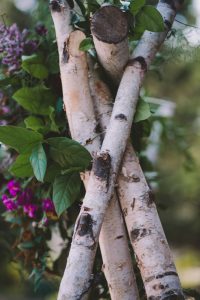 Algonquin Arowhon Camp Wedding