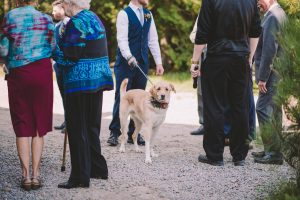 Algonquin Arowhon Camp Wedding