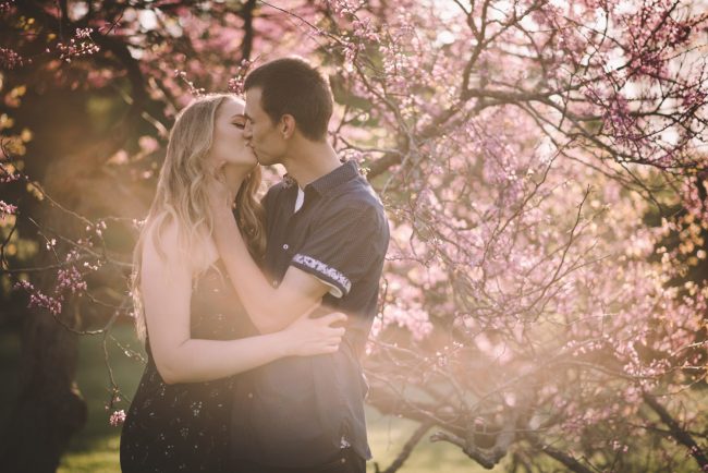 Spring Blossoms Engagement Session Photography Kitchener Toronto Guelph