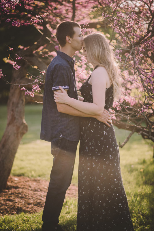 Spring Blossoms Engagement Session Photography Kitchener Toronto Guelph