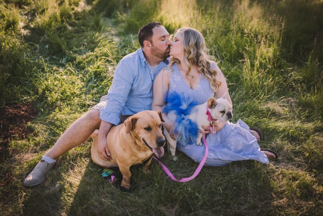Sunset Engagement Session With Dogs Guelph Kitchener Waterloo Toronto