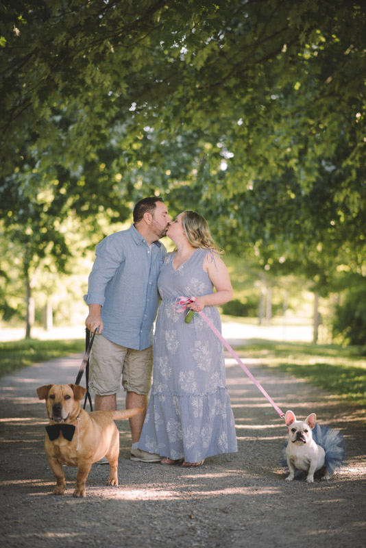 Sunset Engagement Session With Dogs Guelph Kitchener Waterloo Toronto