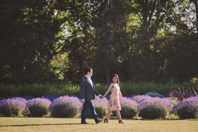 Lavender Farm Engagement Photography Guelph Kitchener Waterloo