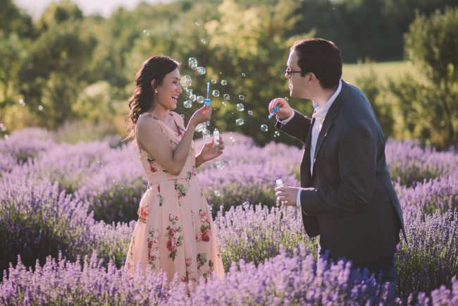 Lavender Farm Engagement Photography Guelph Kitchener Waterloo