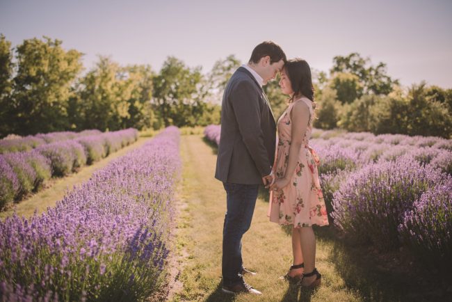 Lavender Farm Engagement Photography Guelph Kitchener Waterloo