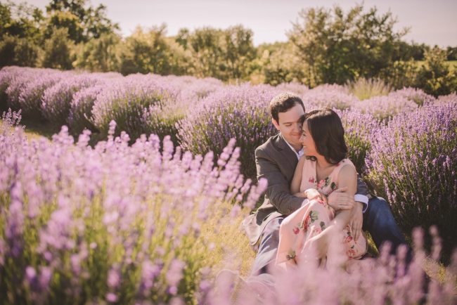 Lavender Farm Engagement Photography Guelph Kitchener Waterloo