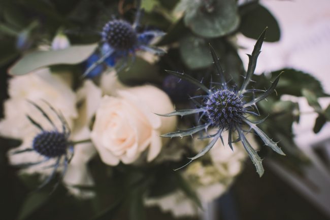 Guelph Arboretum Wedding Photography