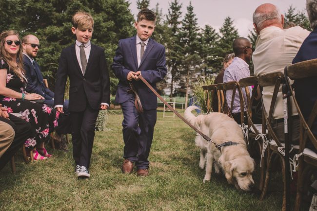 Guelph Wedding Photographer