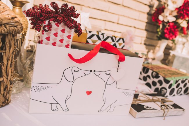 Backyard Wedding Photography Kitchener