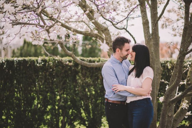 Guelph Spring Blossoms Engagement