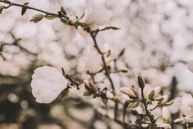 Candid Engagement Photo ideas