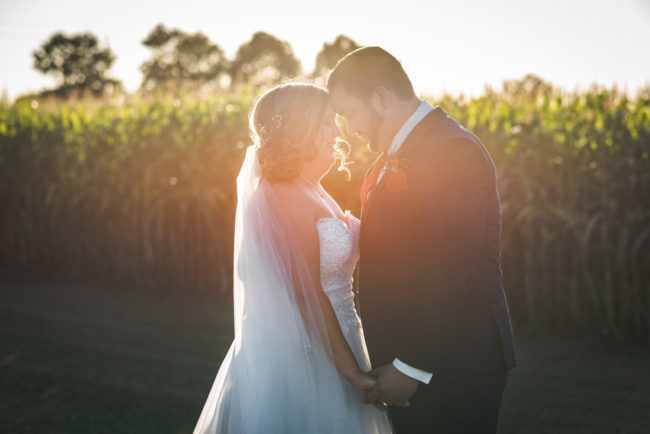 Kitchener Wedding Photography