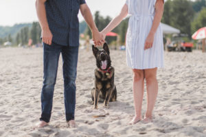 Port Stanley Sunset Beach Engagement Photography
