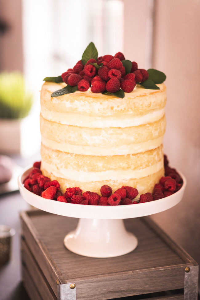 Downtown Cambridge Wedding Photographer