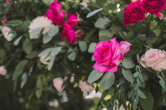 Rebel Creek Golf Club Wedding Photography