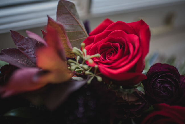 Mini-wedding photography Kitchener