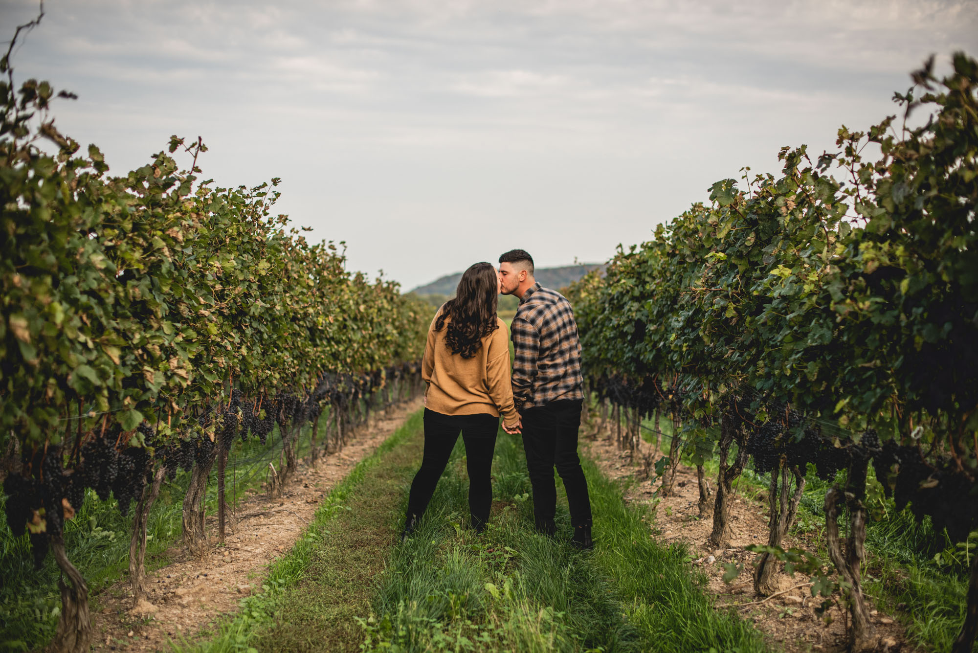 Winery engagement photography lincoln ontario