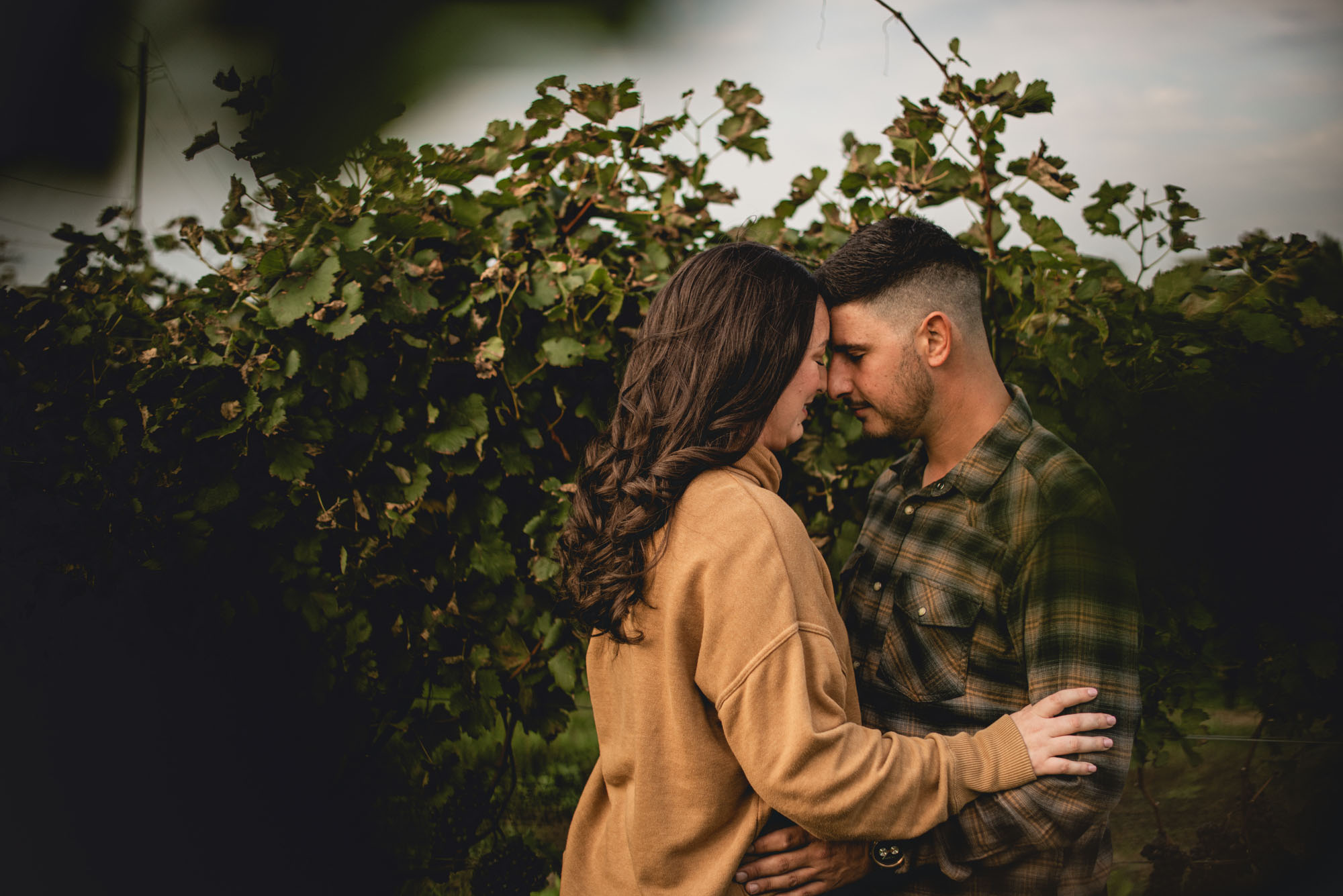 Winery engagement photography lincoln ontario