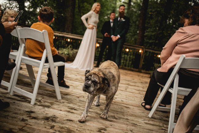 covid elopement photographer
