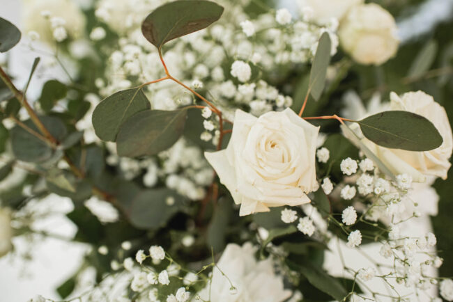 Backyard Wedding Photography Kitchener