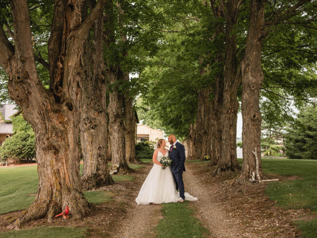 Farm wedding photography