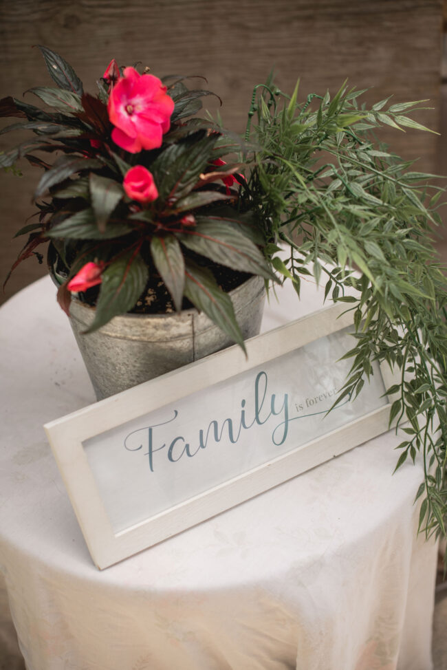 backyard wedding photography kitchener