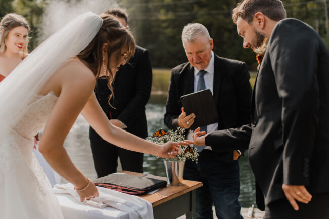 butterly release wedding ceremony