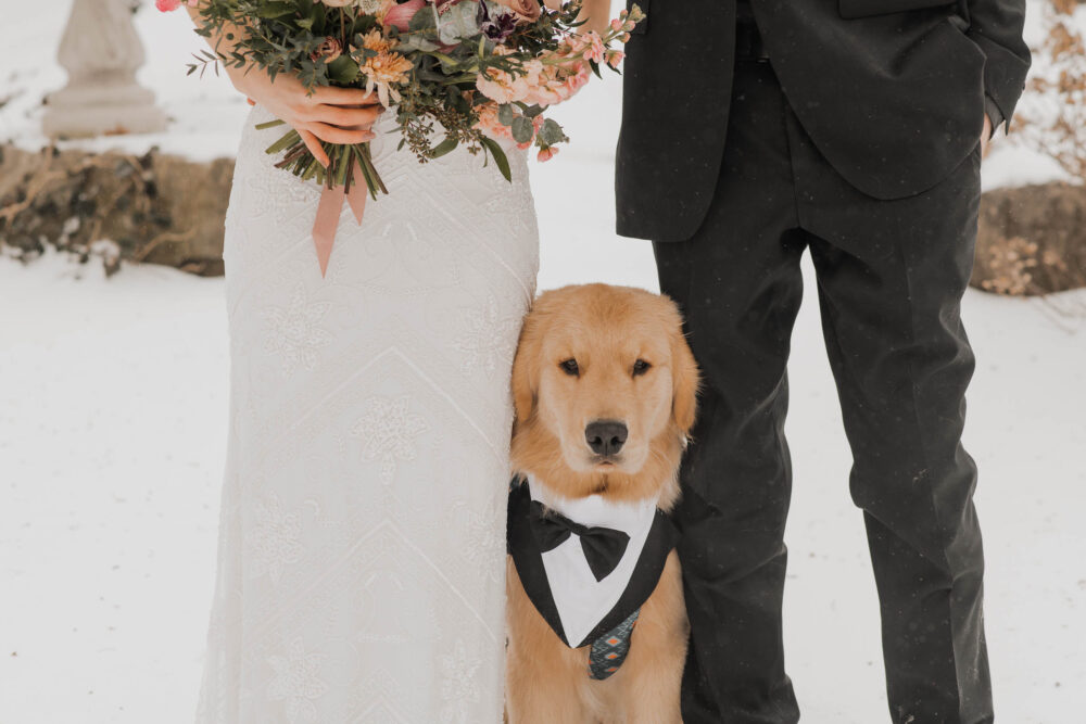 waterloo region microwedding photographer