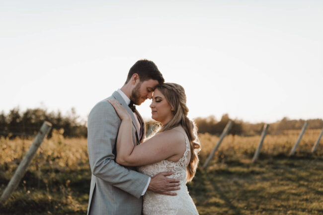 vineyard wedding photography ontario