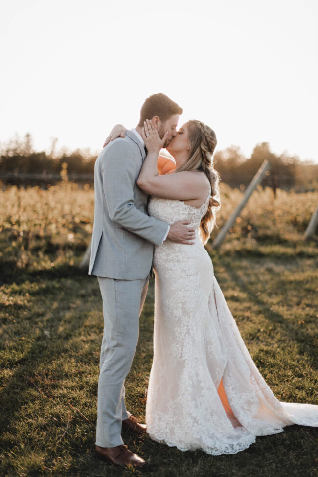 vineyard wedding photography ontario