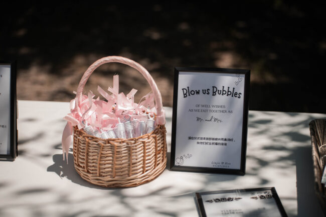 Western University Wedding Photographer