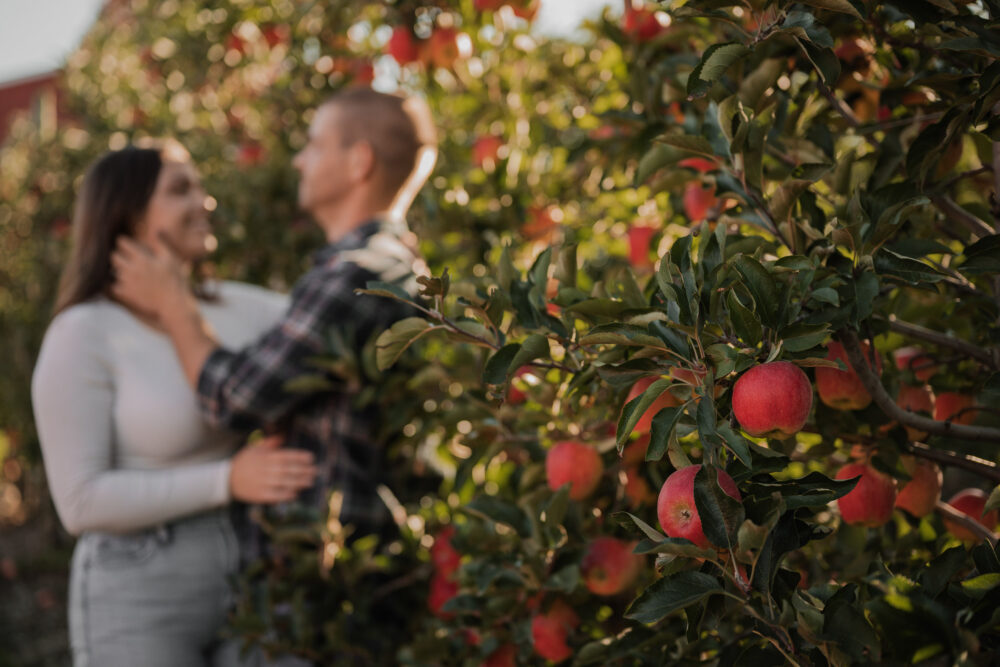 apple orchard engagement photoshoot