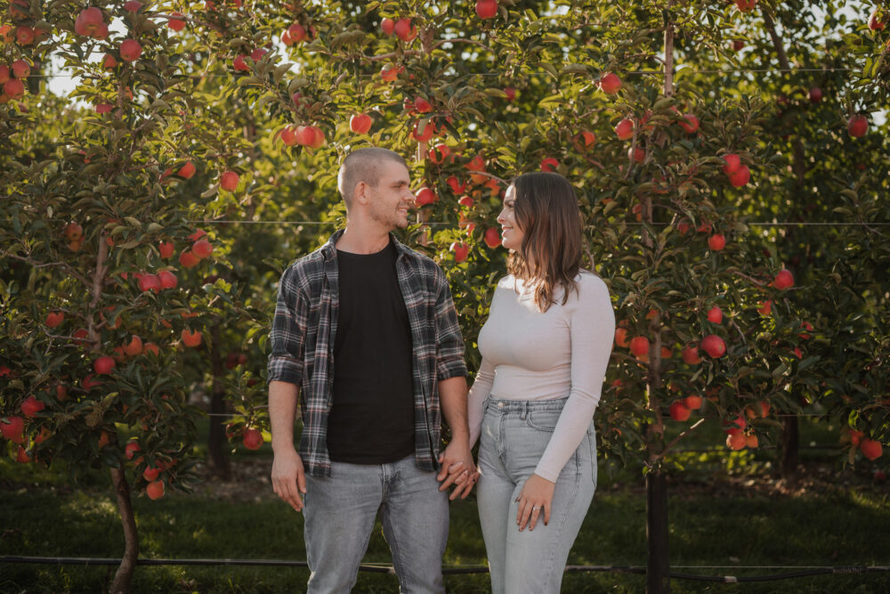 Shuh orchards engagement photoshoot