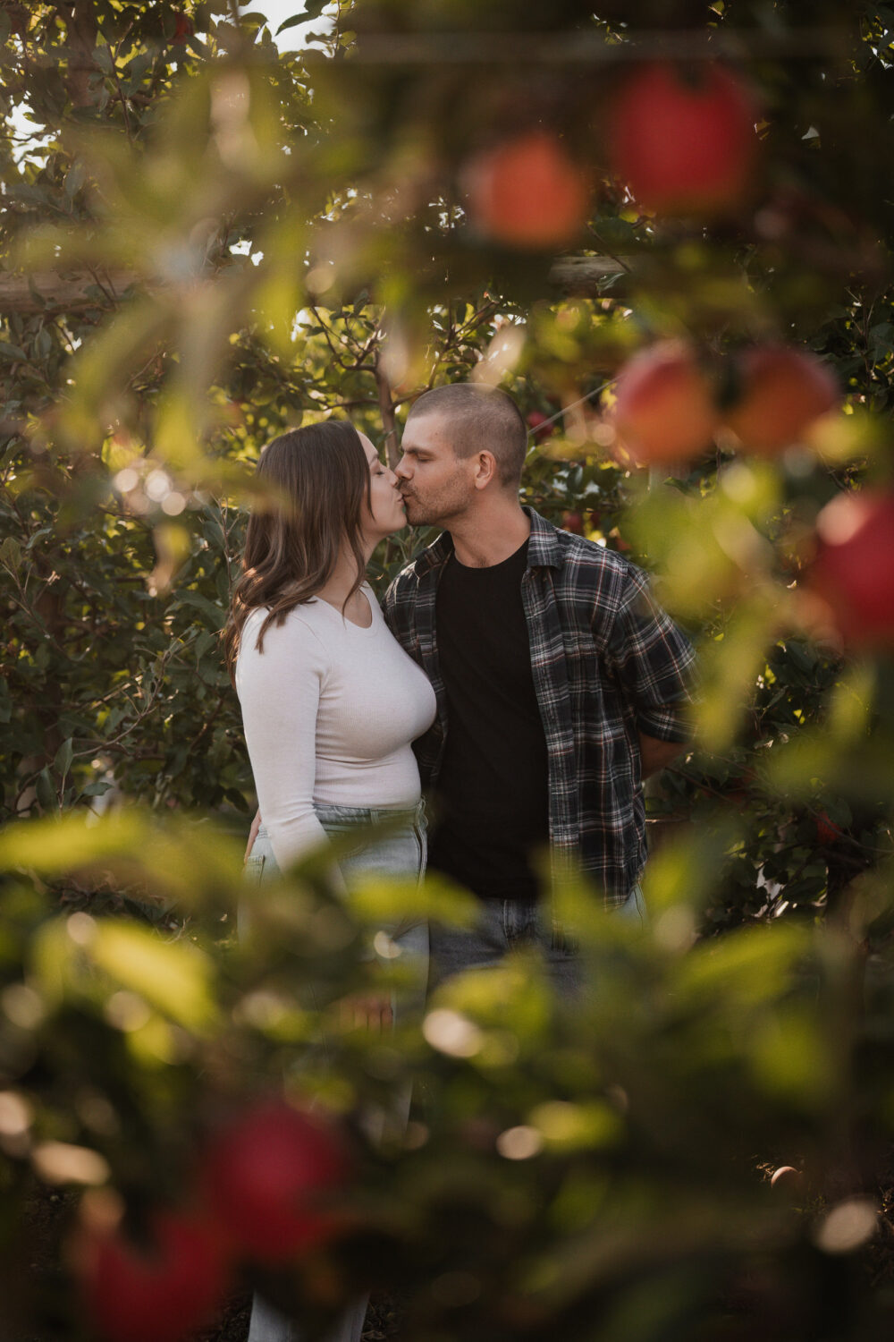 Shuh orchards engagement photoshoot
