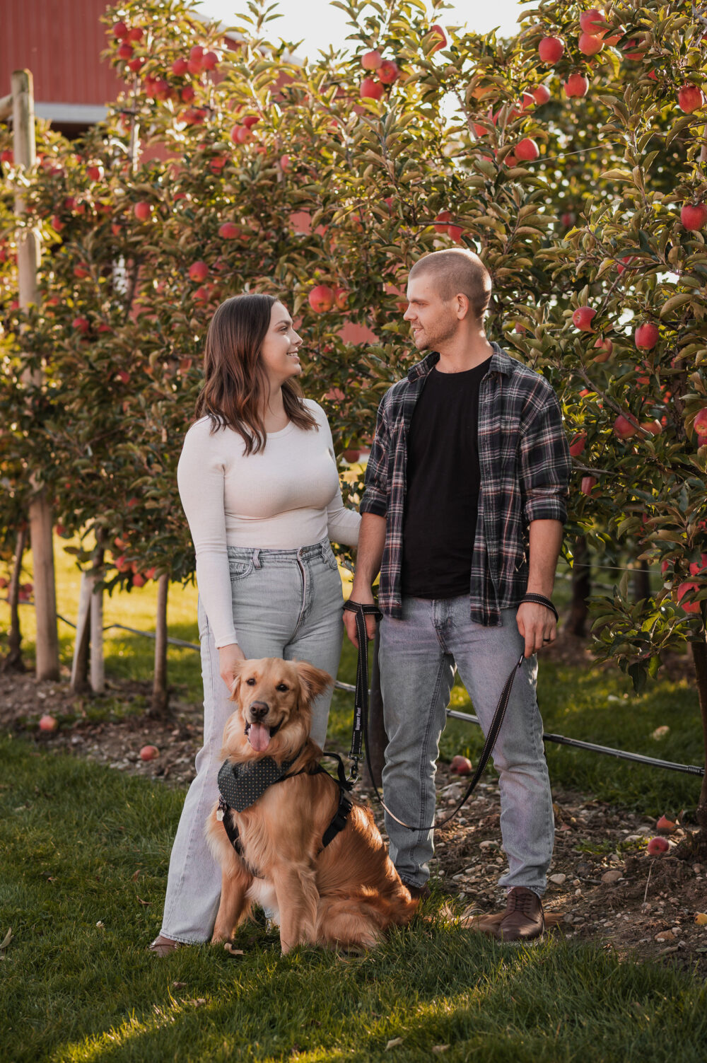 orchard engagement photography