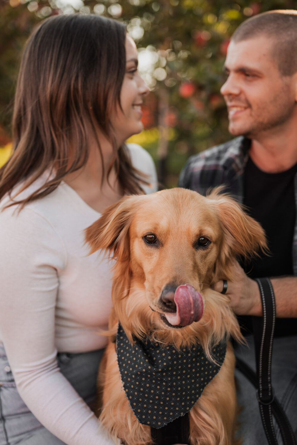 apple orchard engagement photoshoot