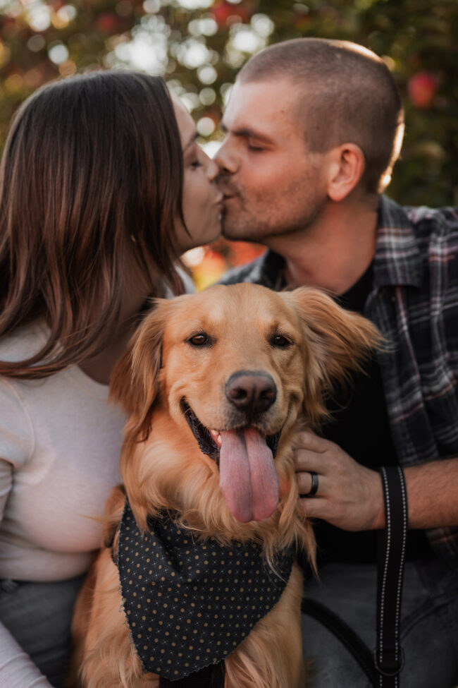 apple orchard engagement photoshoot