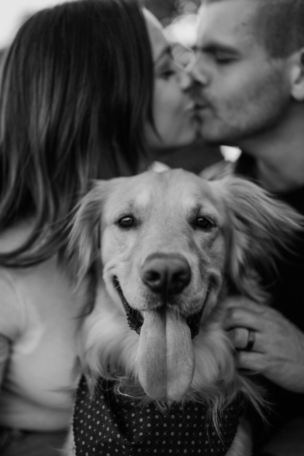 engagement photoshoot with dog