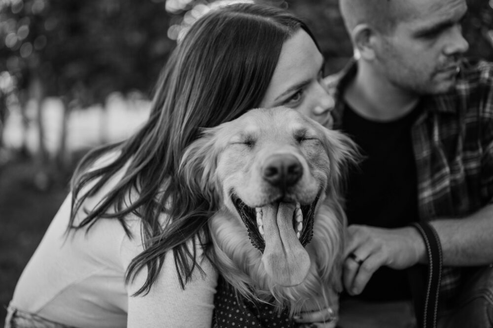 engagement photoshoot with dog