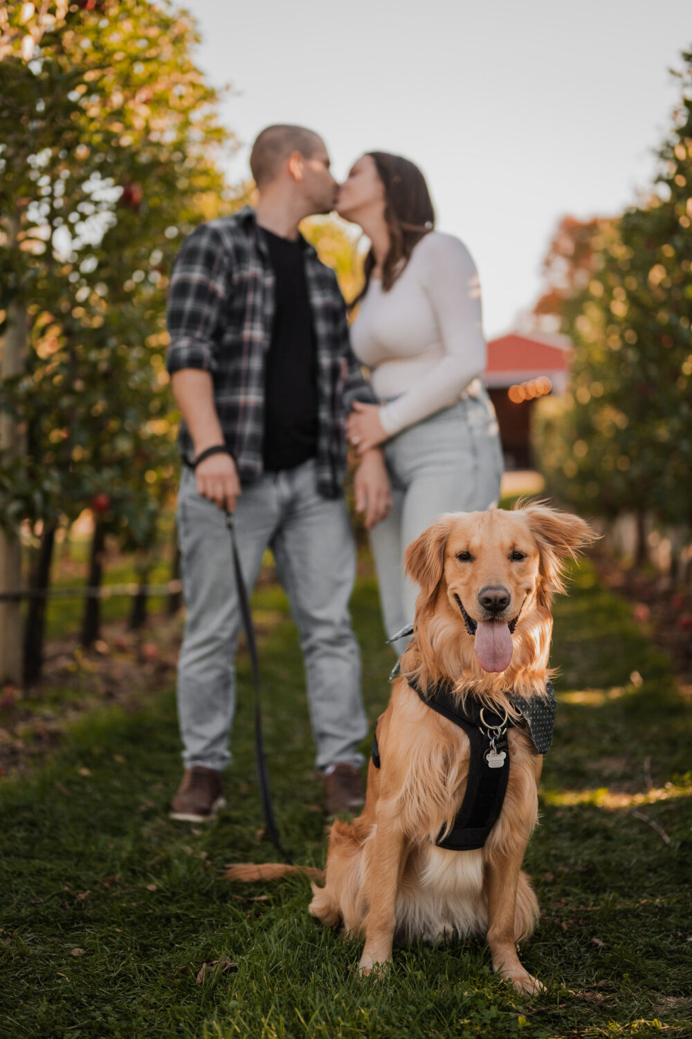 Engagement photoshoot with family dog